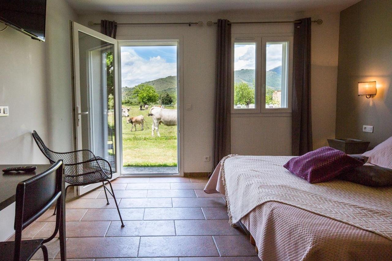 Family Double Room