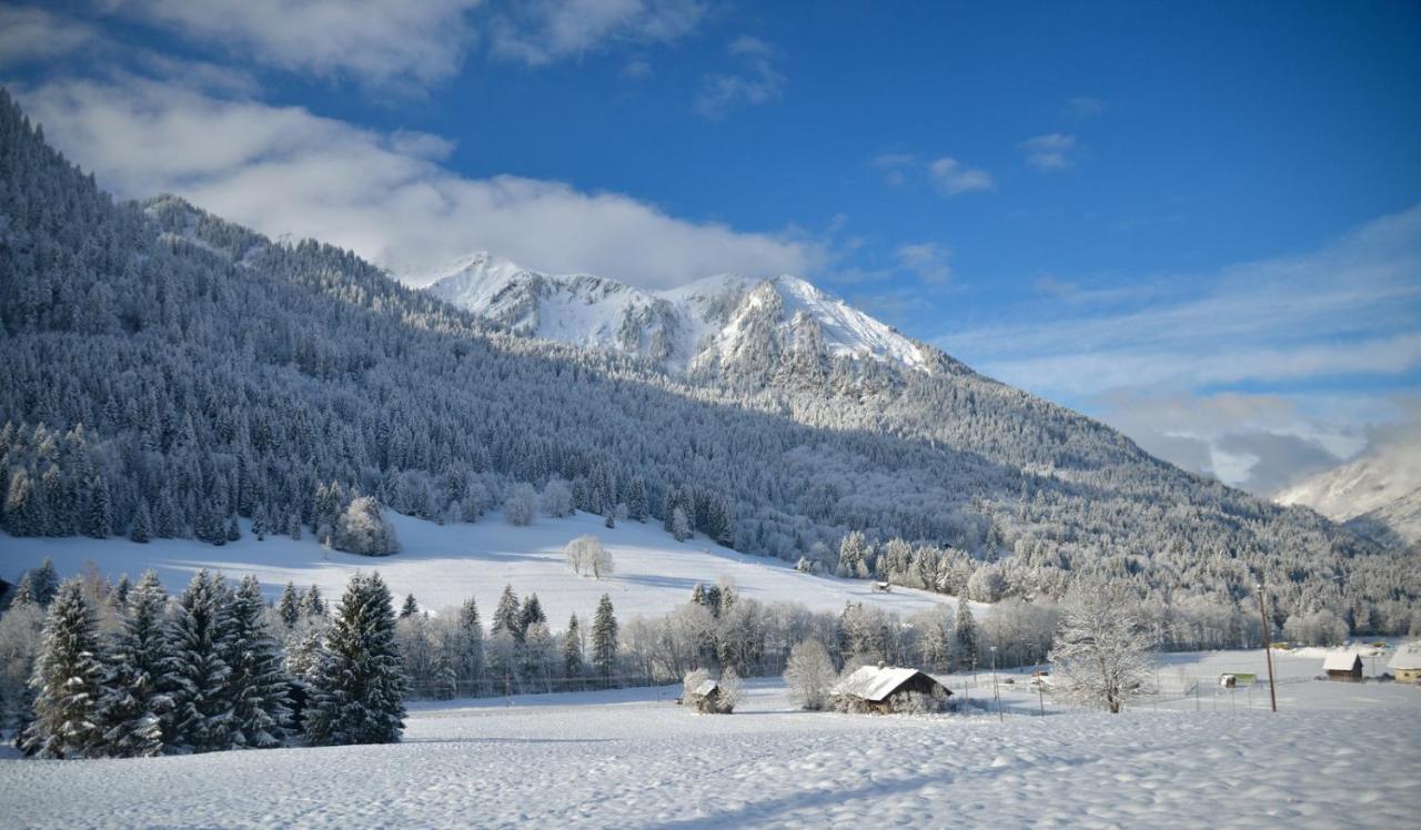 Double Room Mountain View