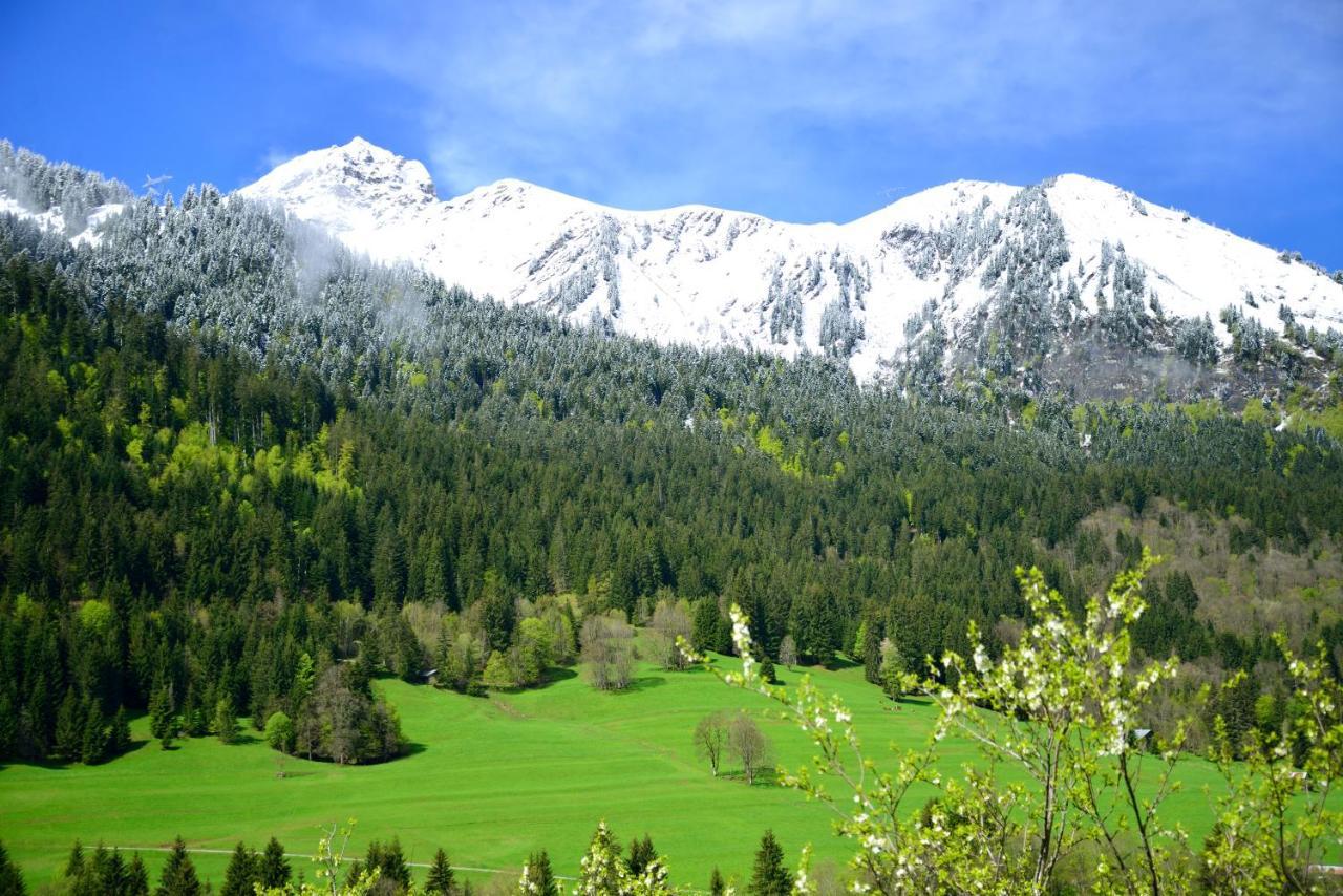 Deluxe Double or Twin Room Mountain View