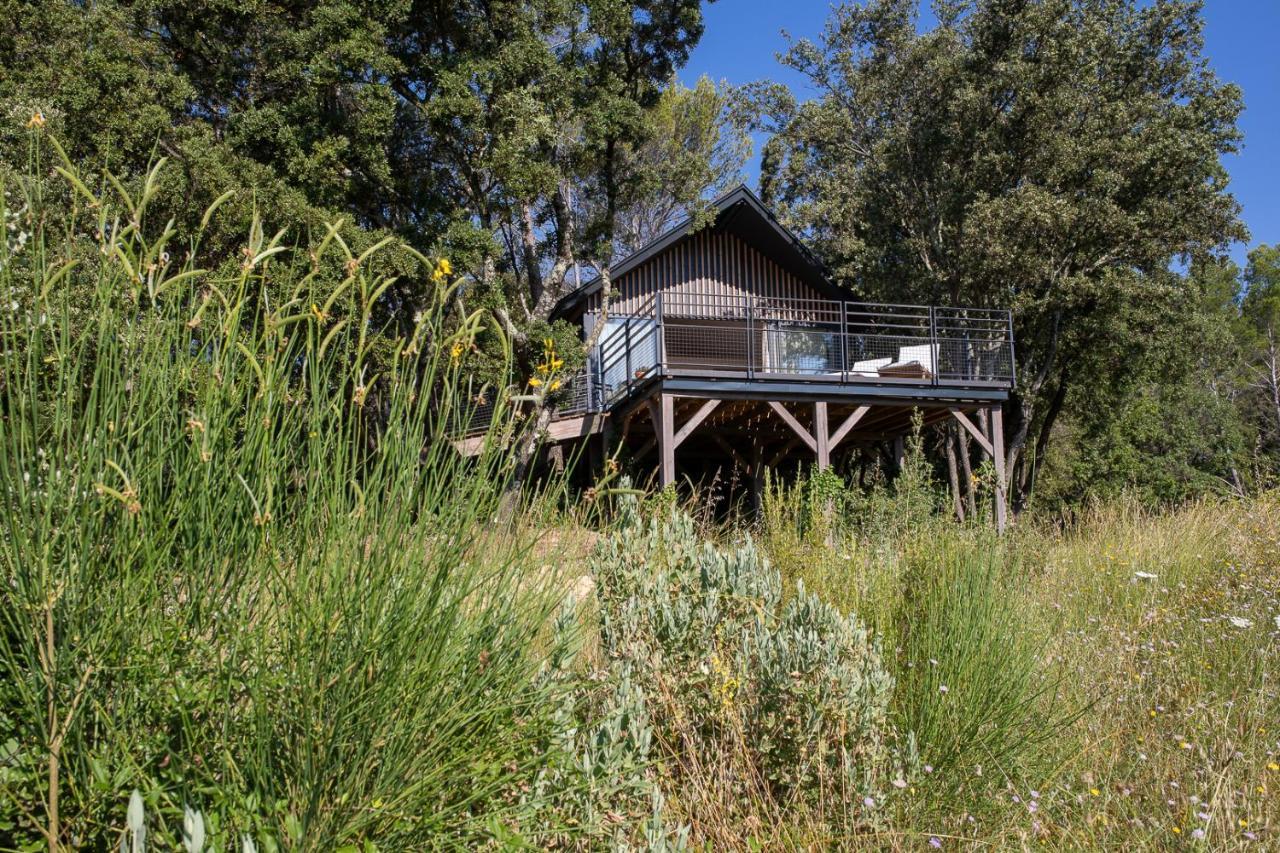 Deluxe Hut
