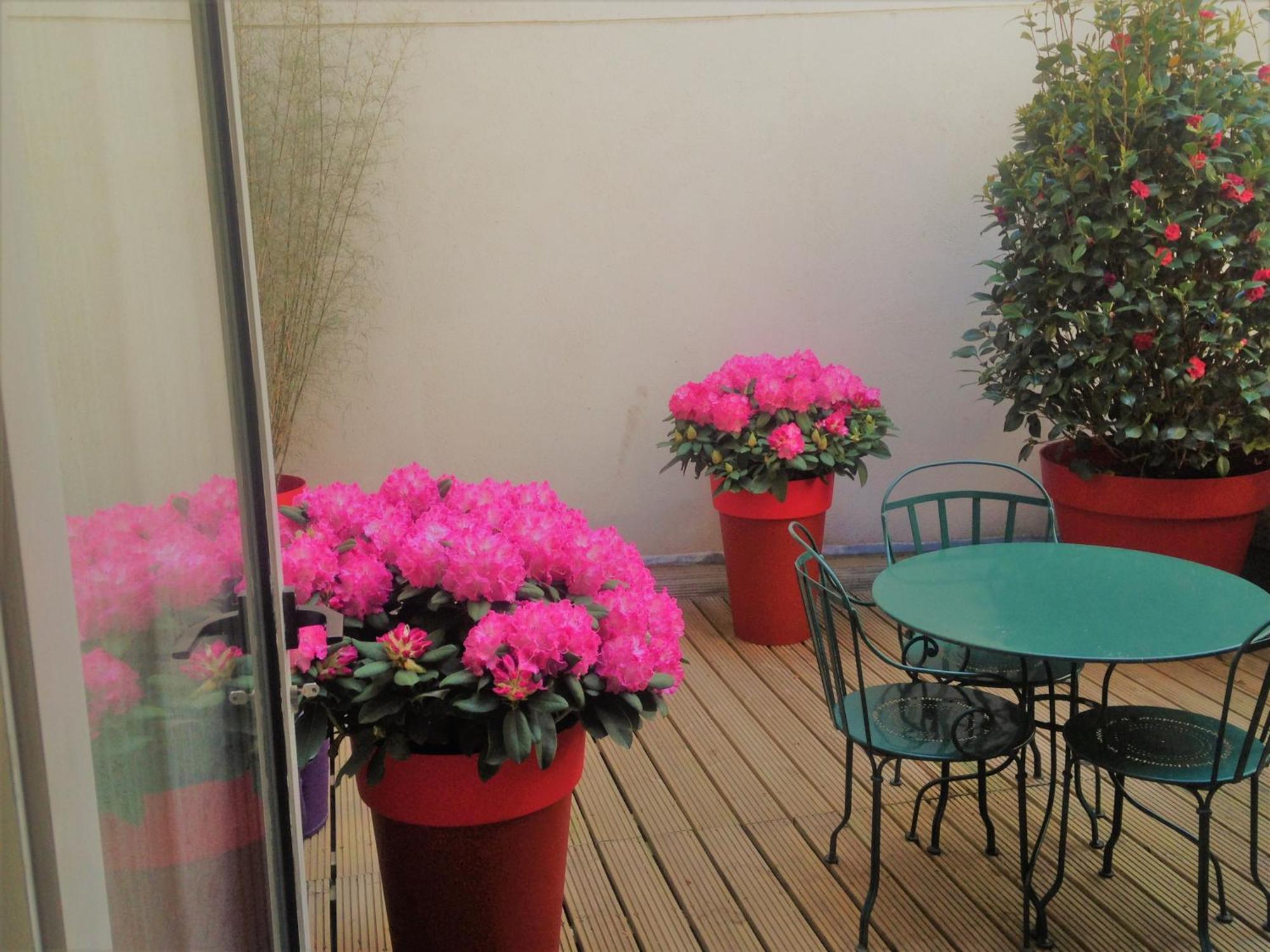 Double Room Terrace