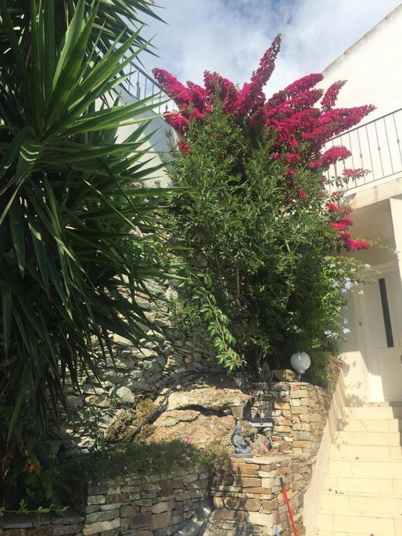 Double Room Balcony Sea View