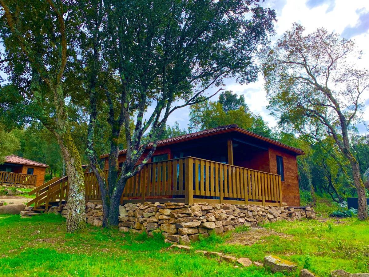 Chalet the forest