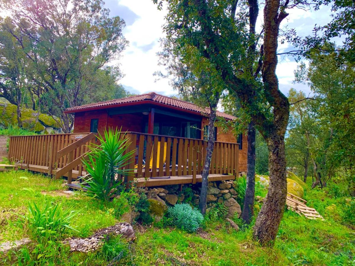 Chalet the forest