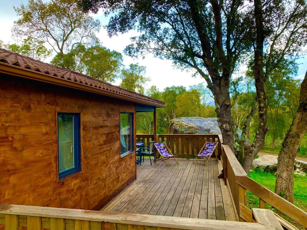 Chalet the forest