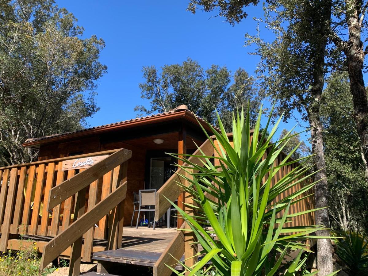 Chalet the forest
