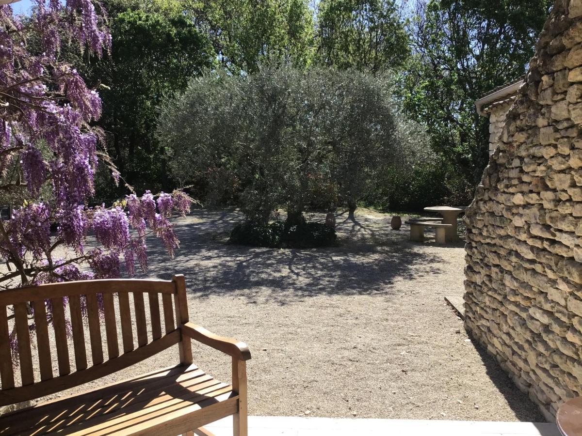 Suite Garden View