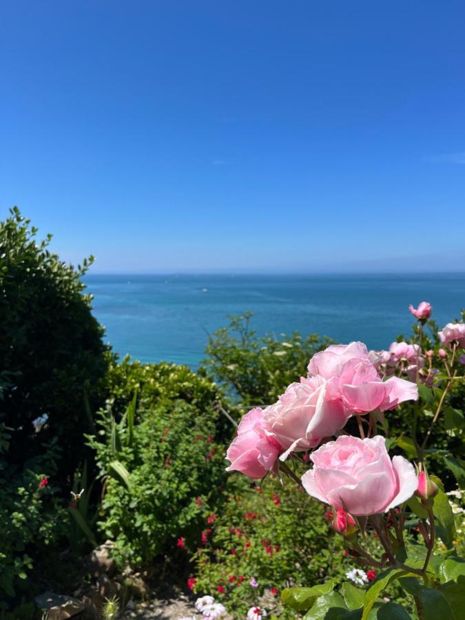 Double Room Garden View