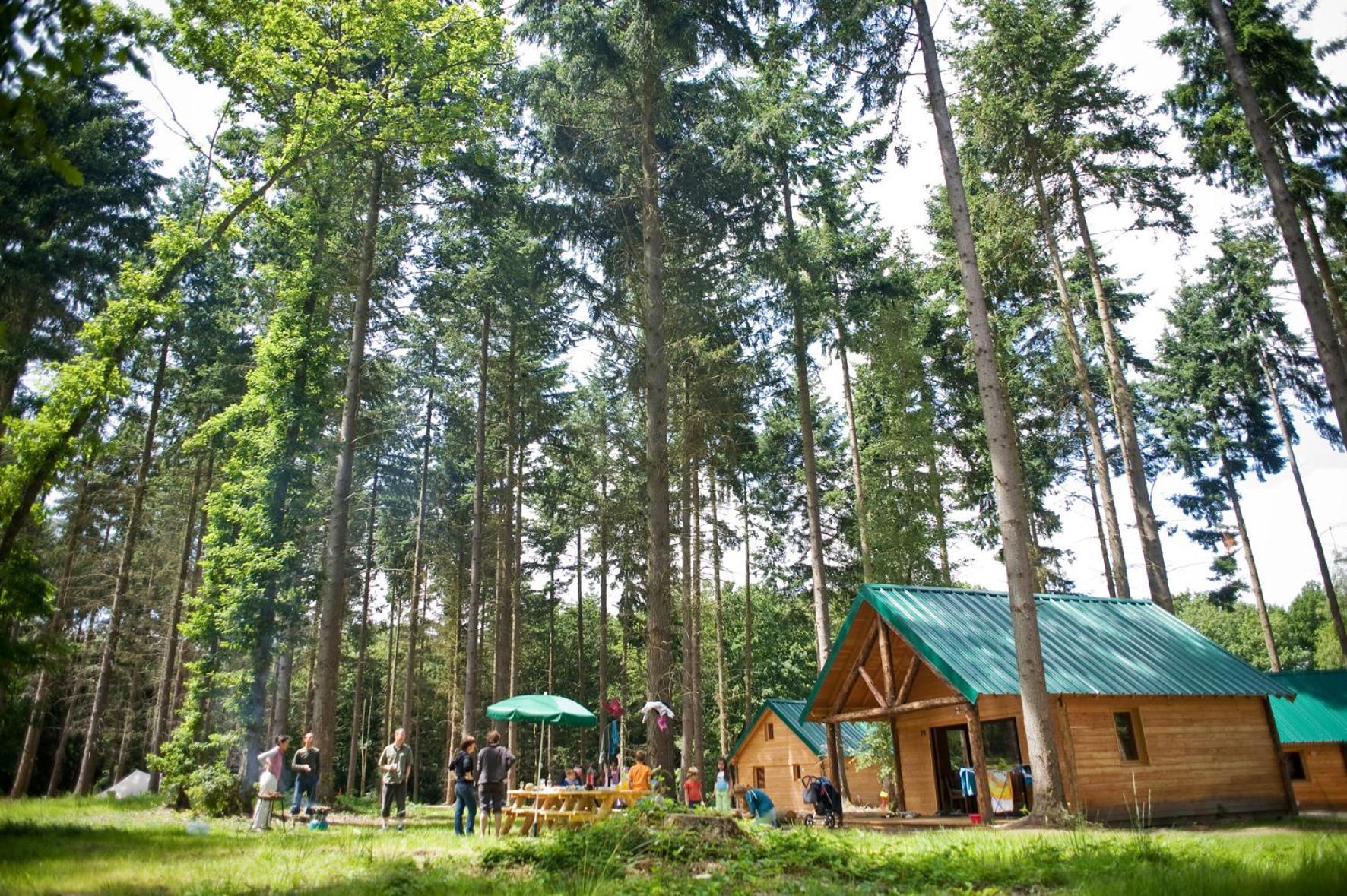 Superior Chalet