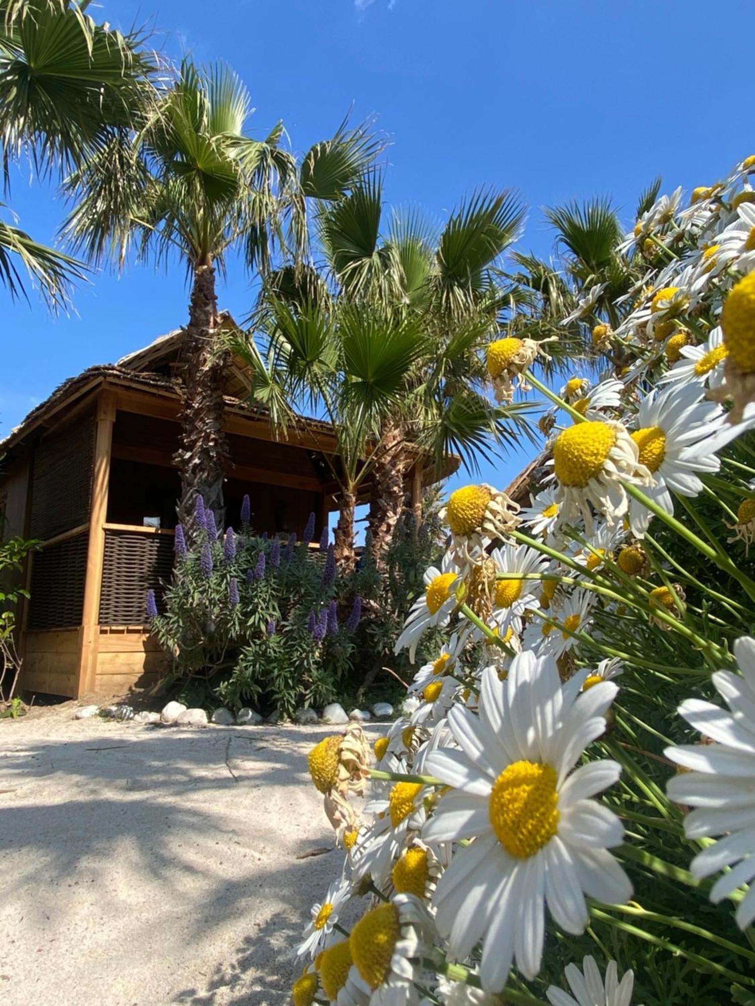 Garden Tiki Hutte Premium Two-Bedroom Bungalow