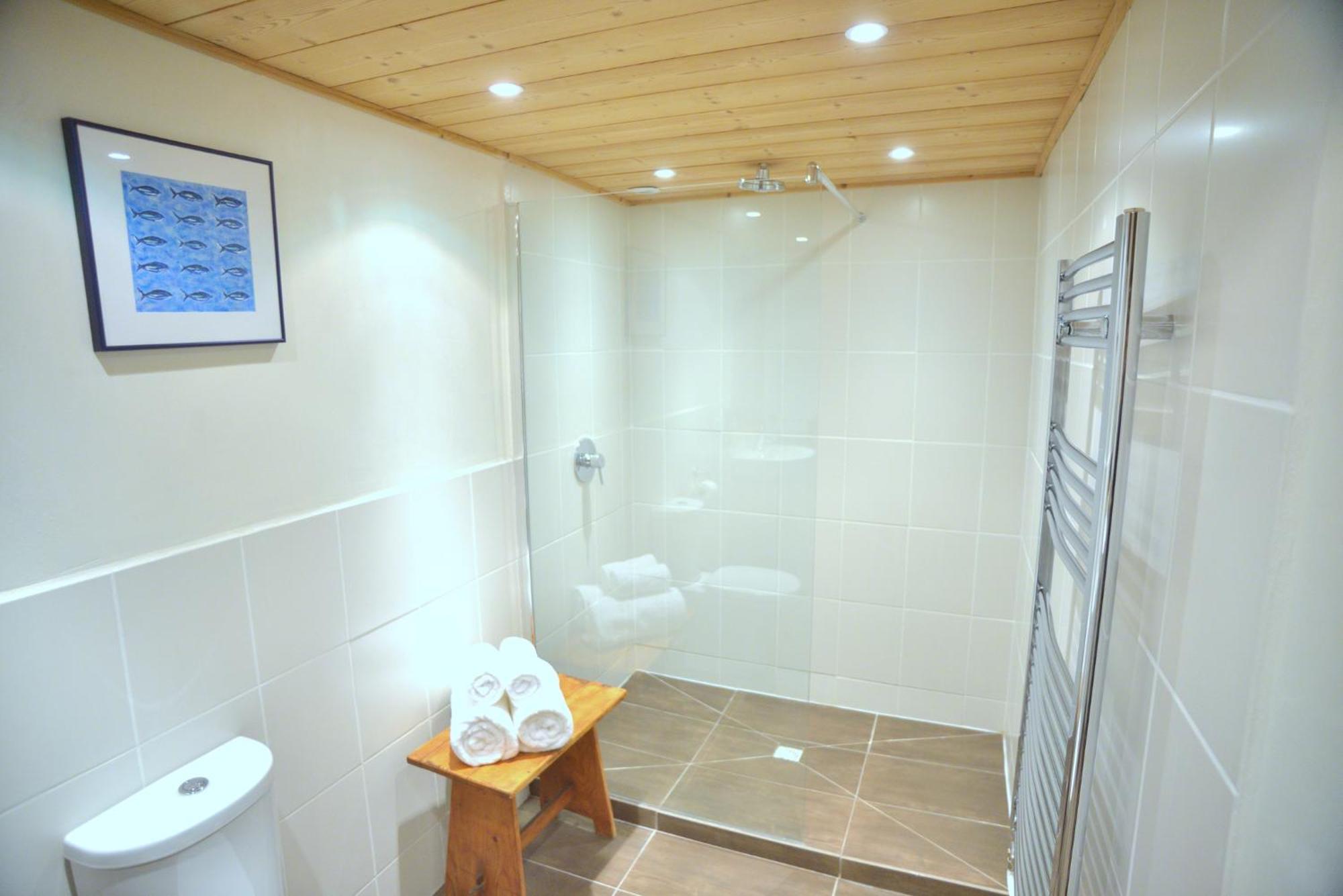 Deluxe Double or Twin Room Mountain View