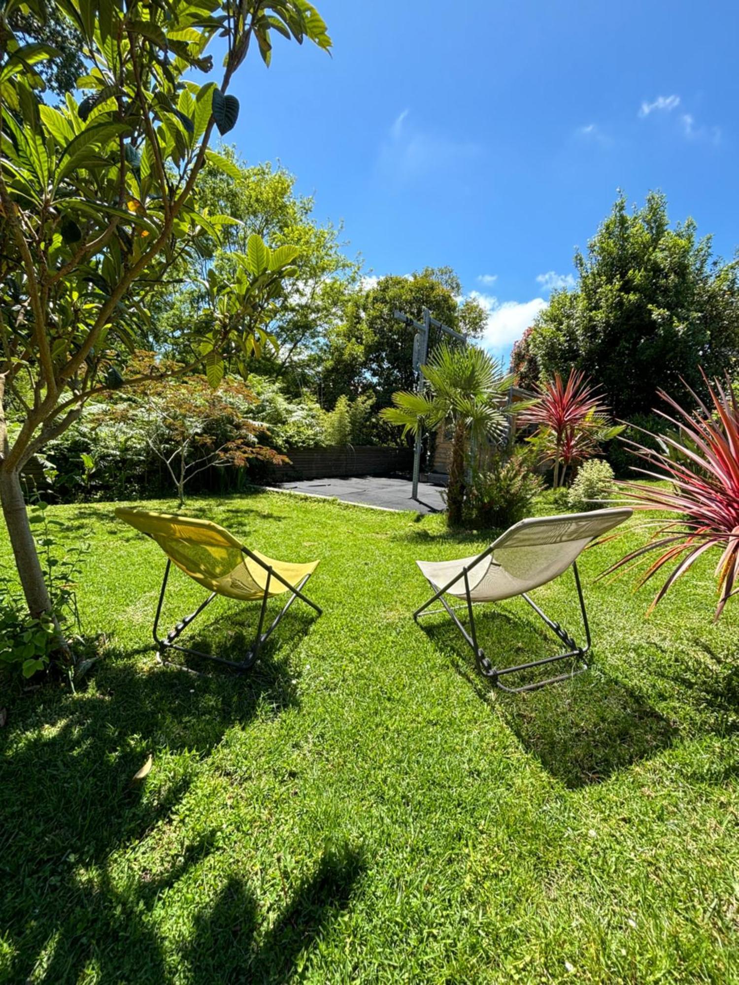 Apartment Garden View