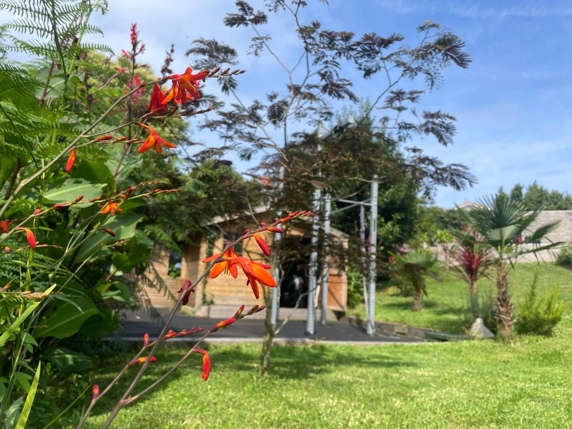 Apartment Garden View