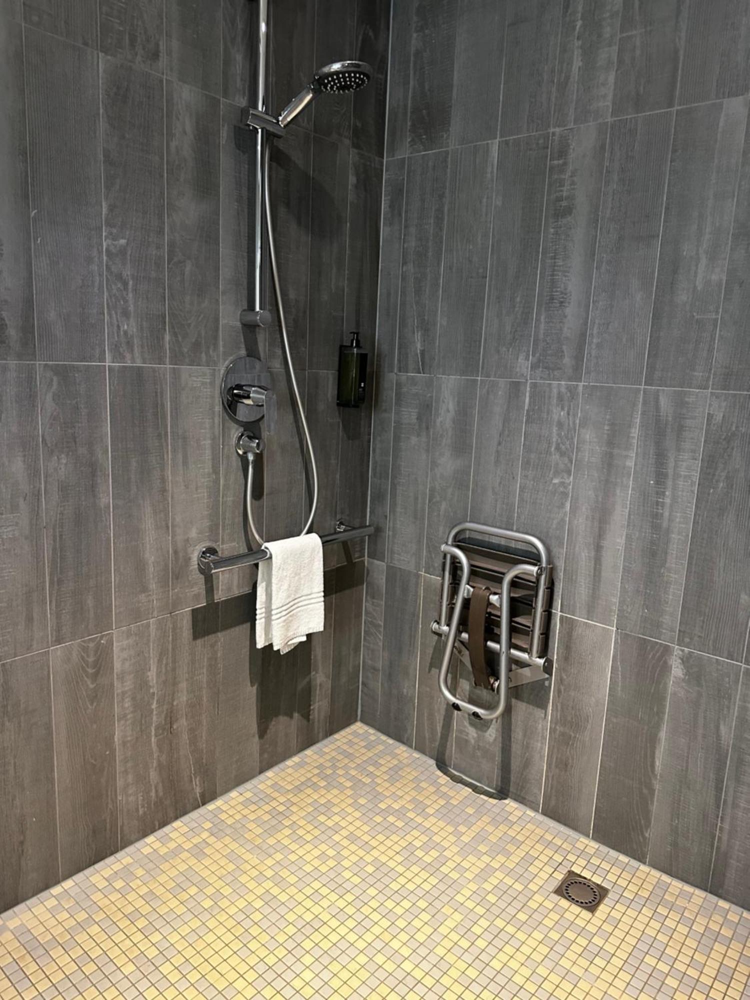 Superior Room walk shower Mobility Access