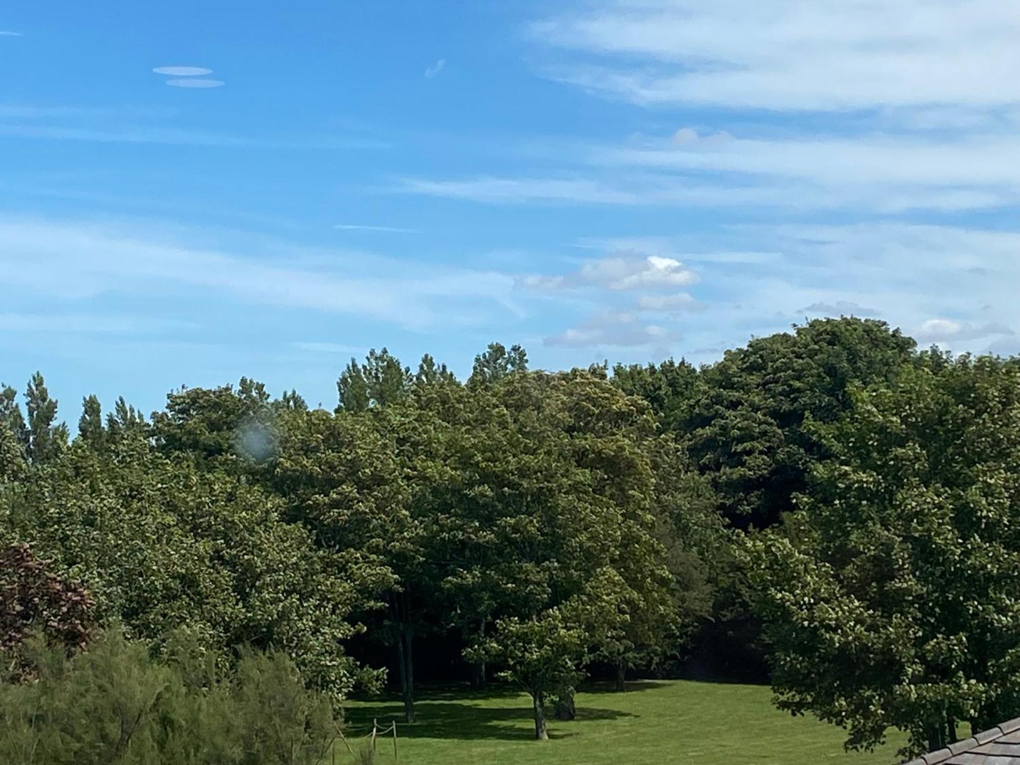 Standard King Room Garden View