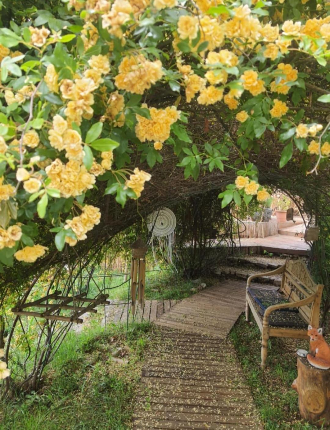 Double Room Garden View