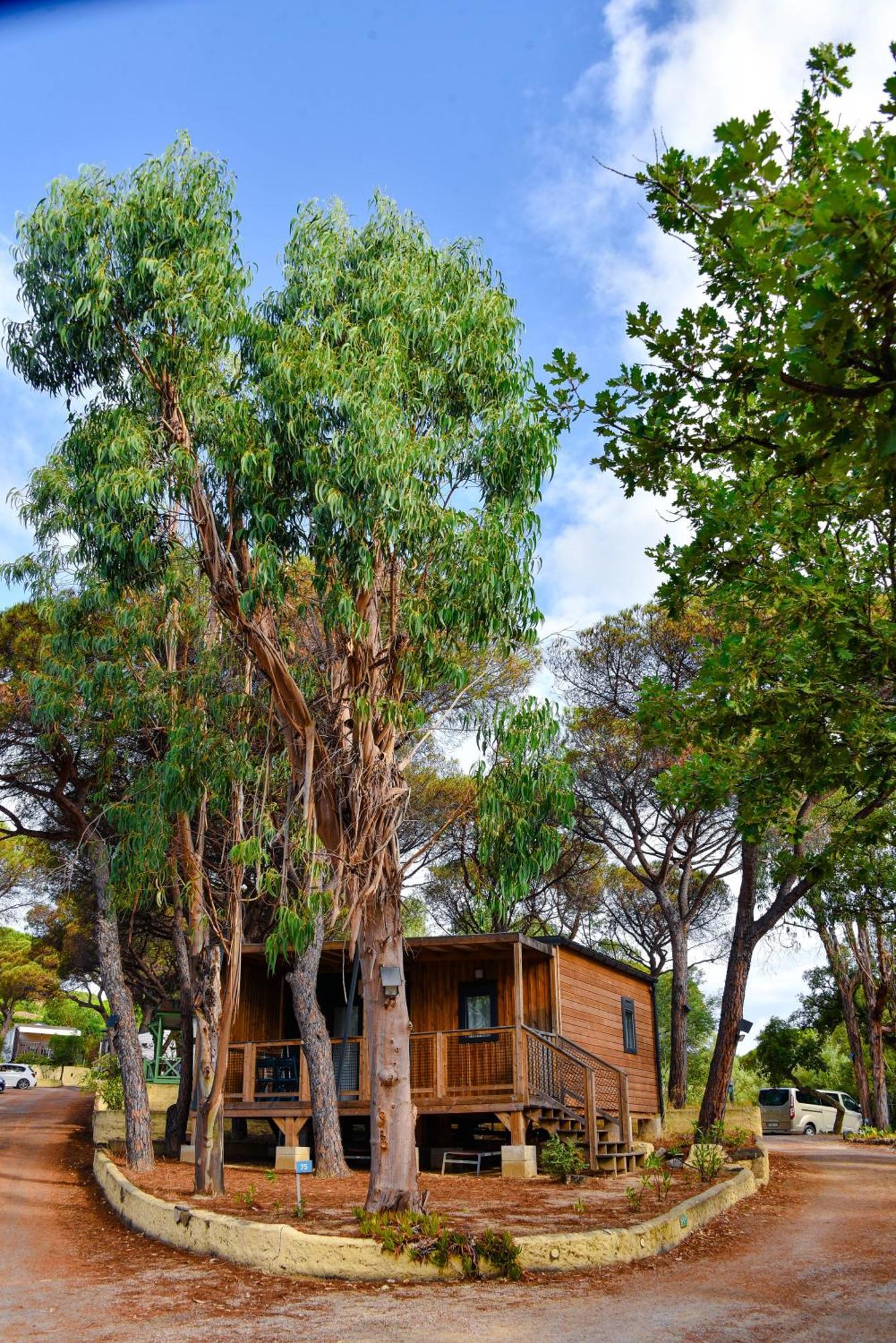 Two-Bedroom Chalet Canelle