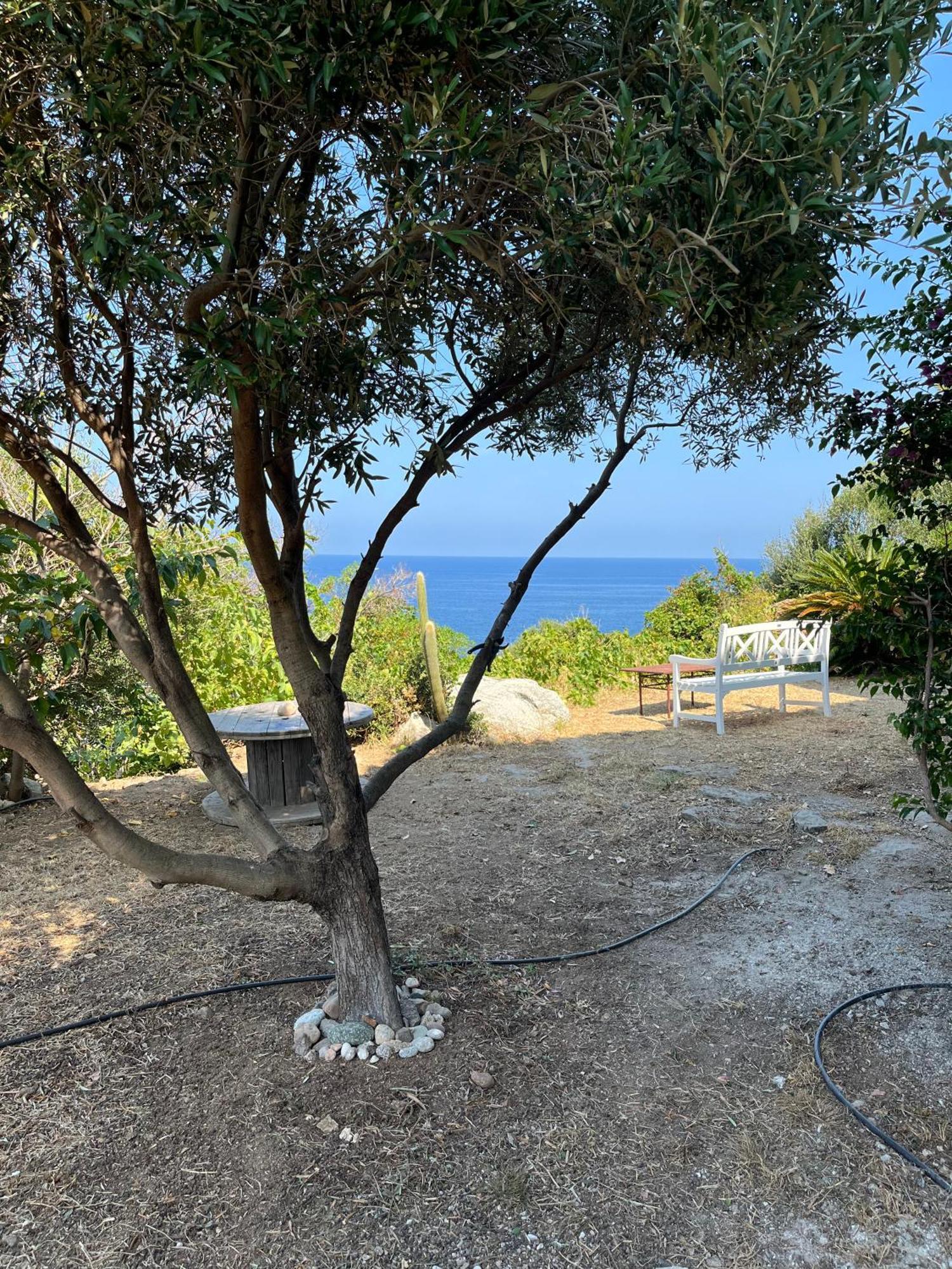 Apartment Sea View