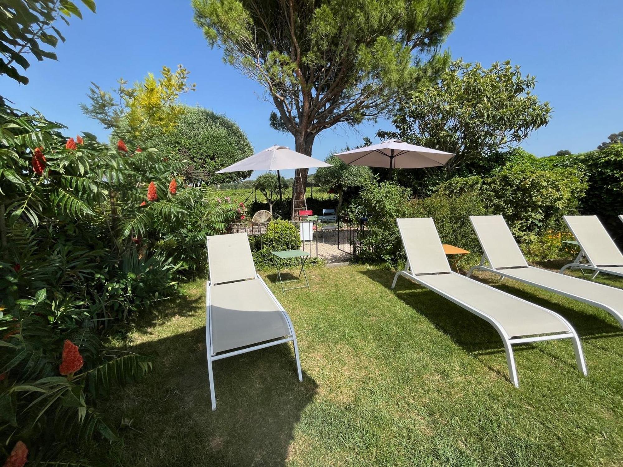 Studio Terrace