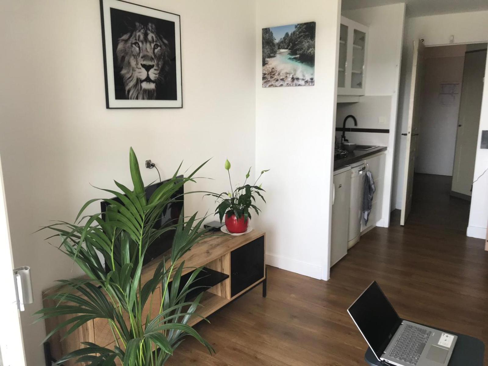 Superior Studio