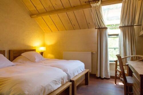 Standard Twin Room Spa Access
