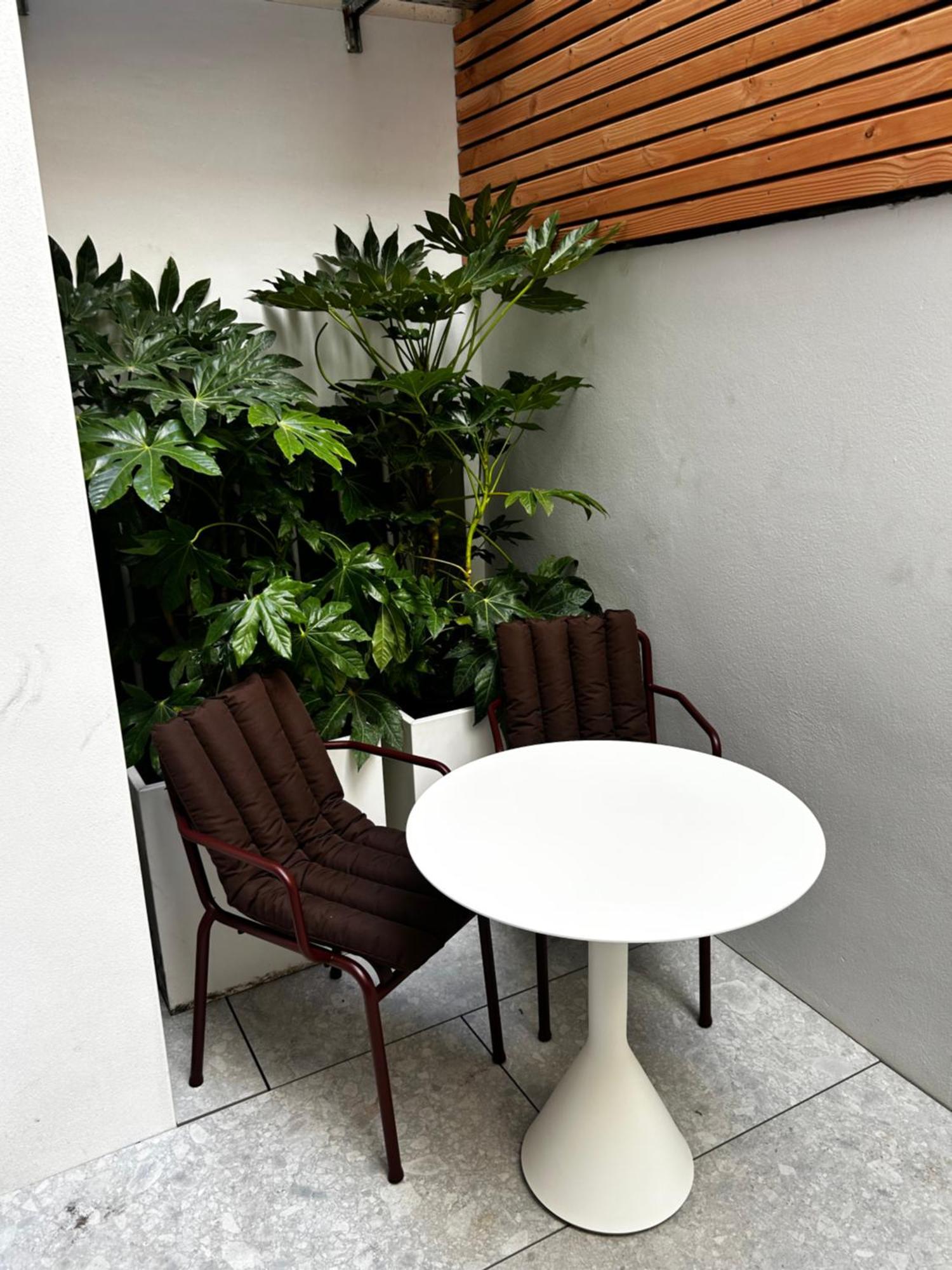 Suite Terrace