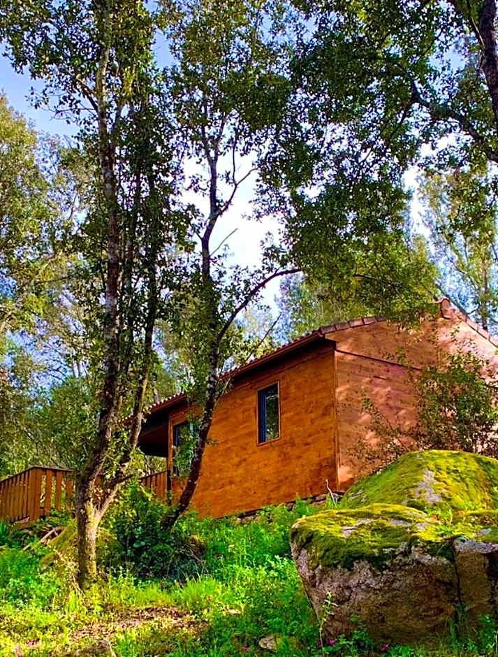 Chalet the forest
