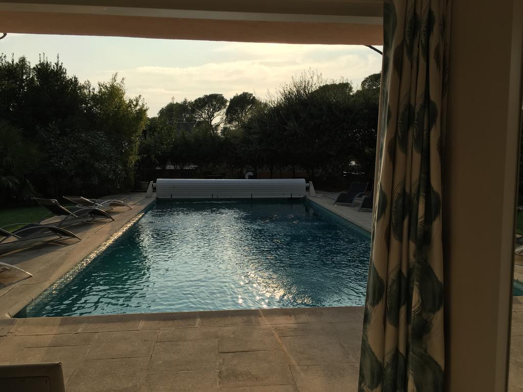 Superior Double Room Pool View