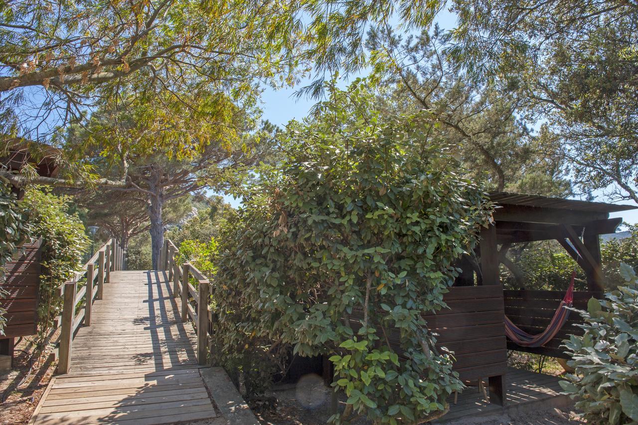 Standard Bungalow Garden Side