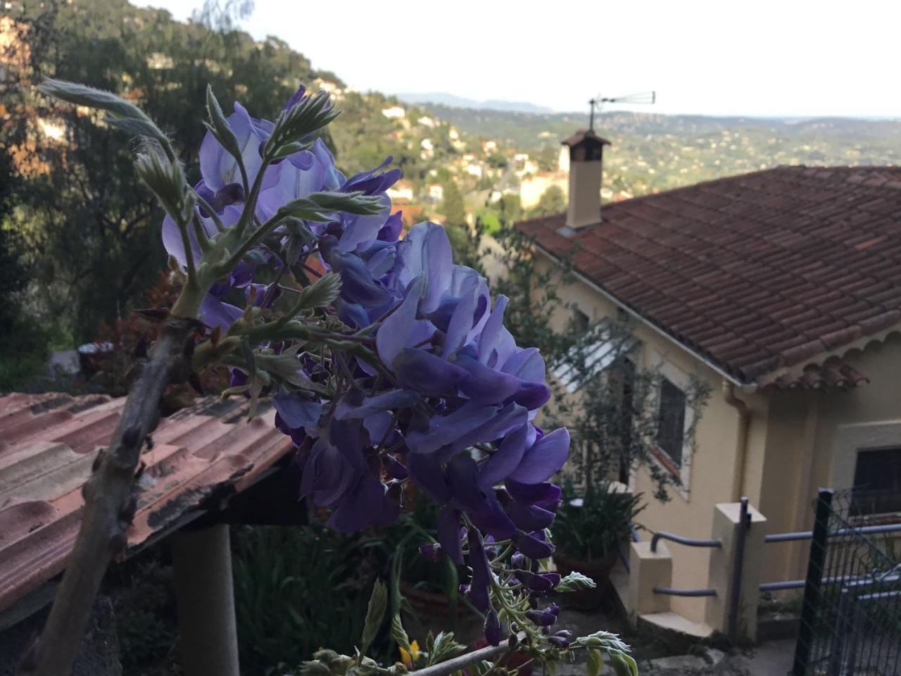 Cottage Panoramic Views