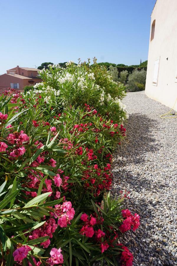 Double Room Garden Terrace
