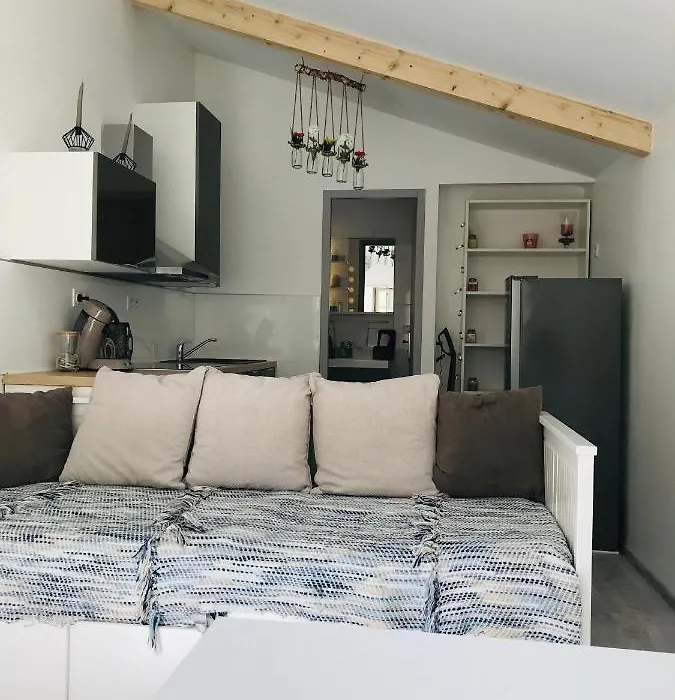 Studio Cosy Aux Facs!-1