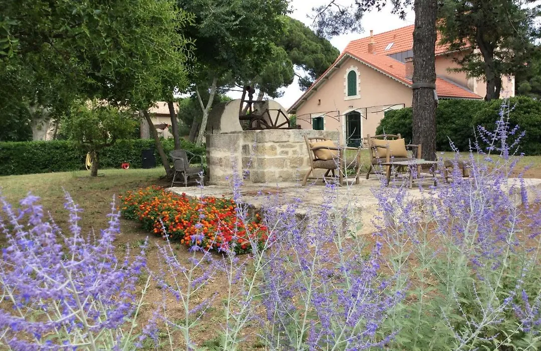 La Maison Du Mole-1