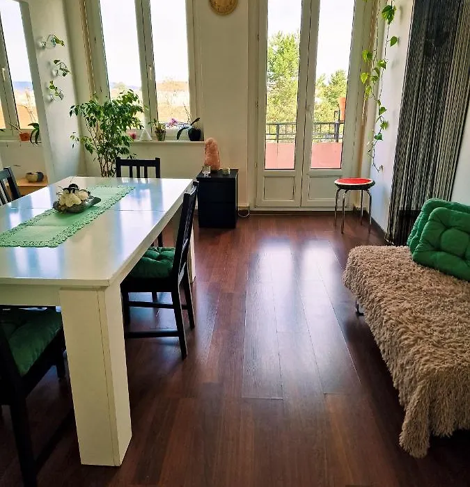Nice Room 4 Minutes From Basel Shared Apartment-1