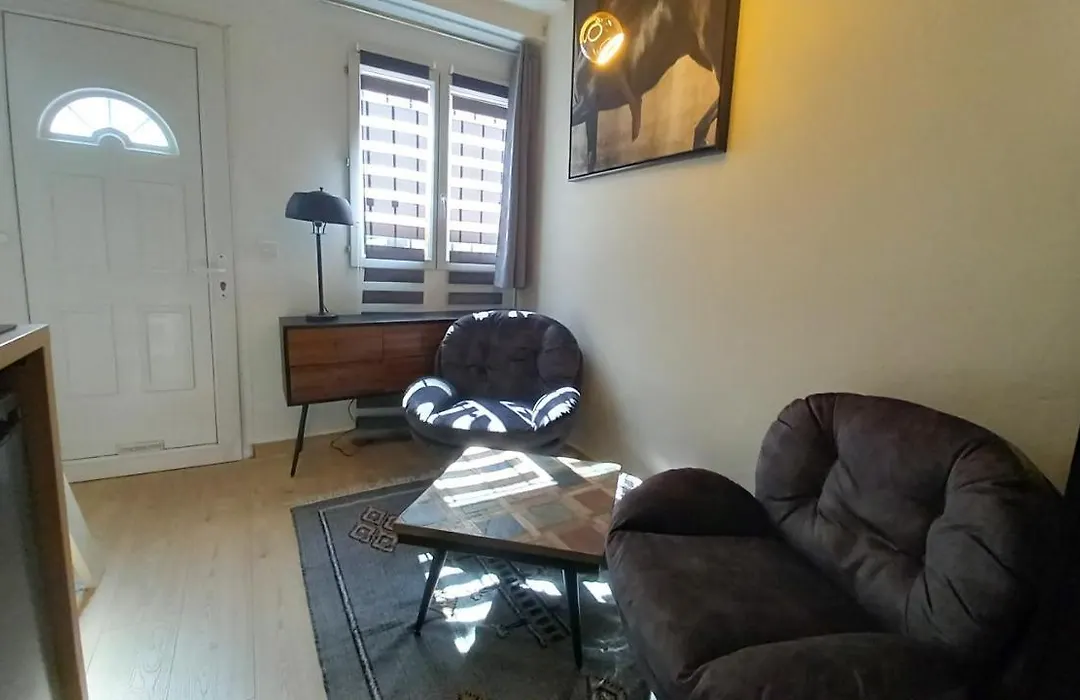 Studio avec mezzanine-1