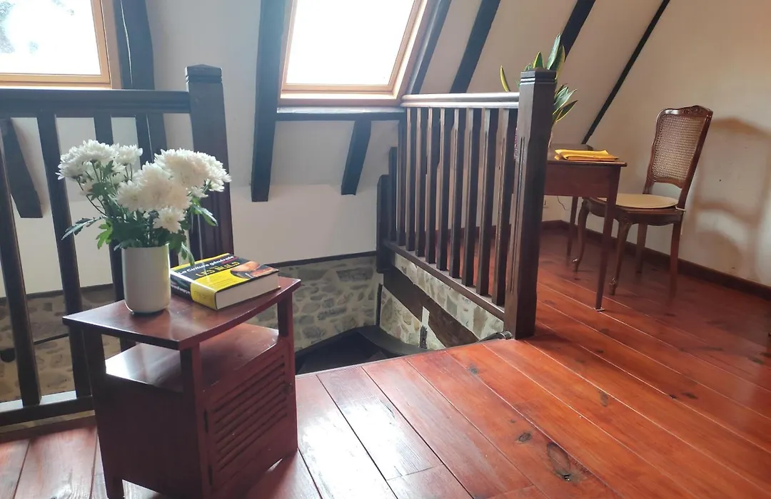 B&B Amphitryon-1