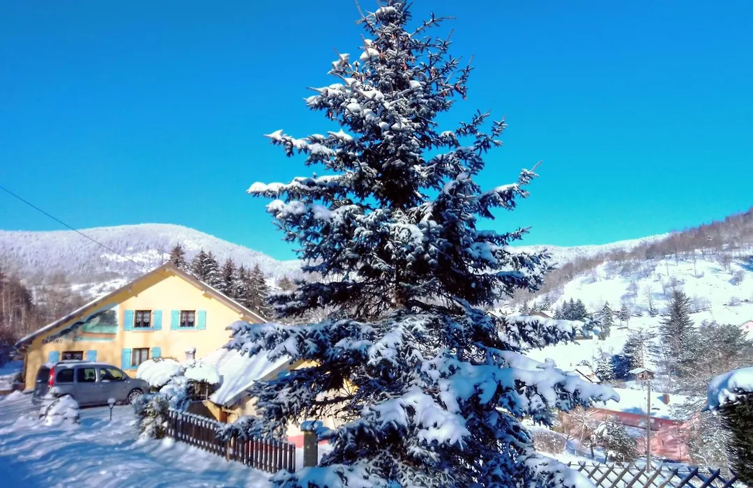 Les Sapins-1