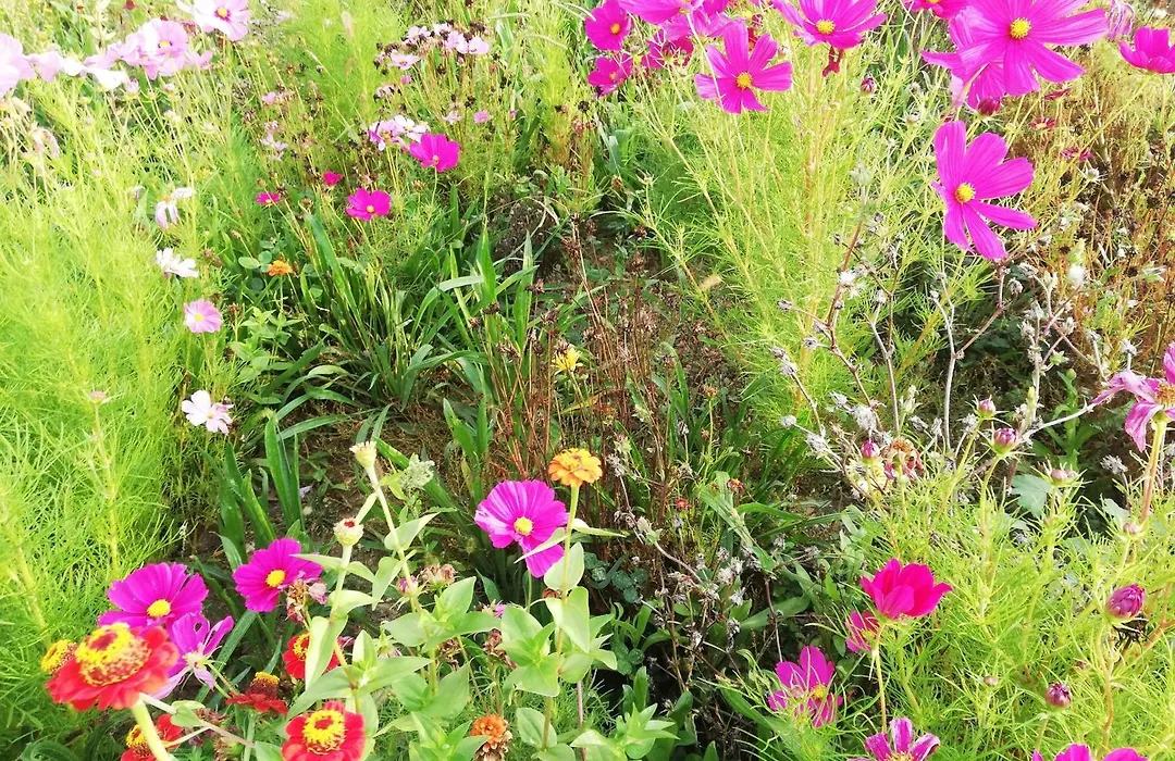 Bastide Des Martelieres-1
