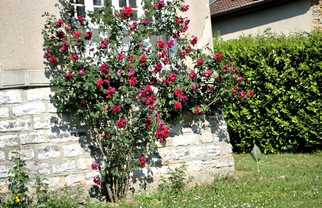 Villa Hortebise-1