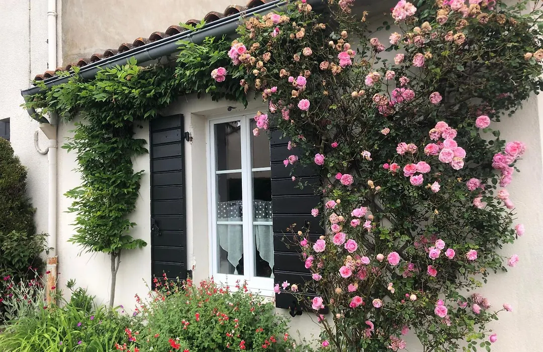 La Mulonniere-1