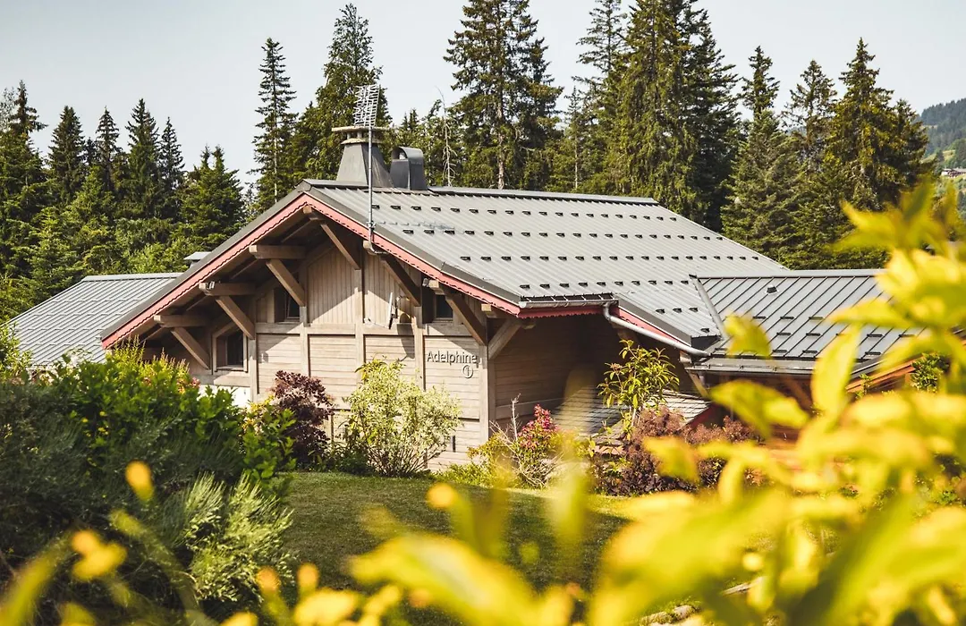 Les Chalets d'Adelphine-1