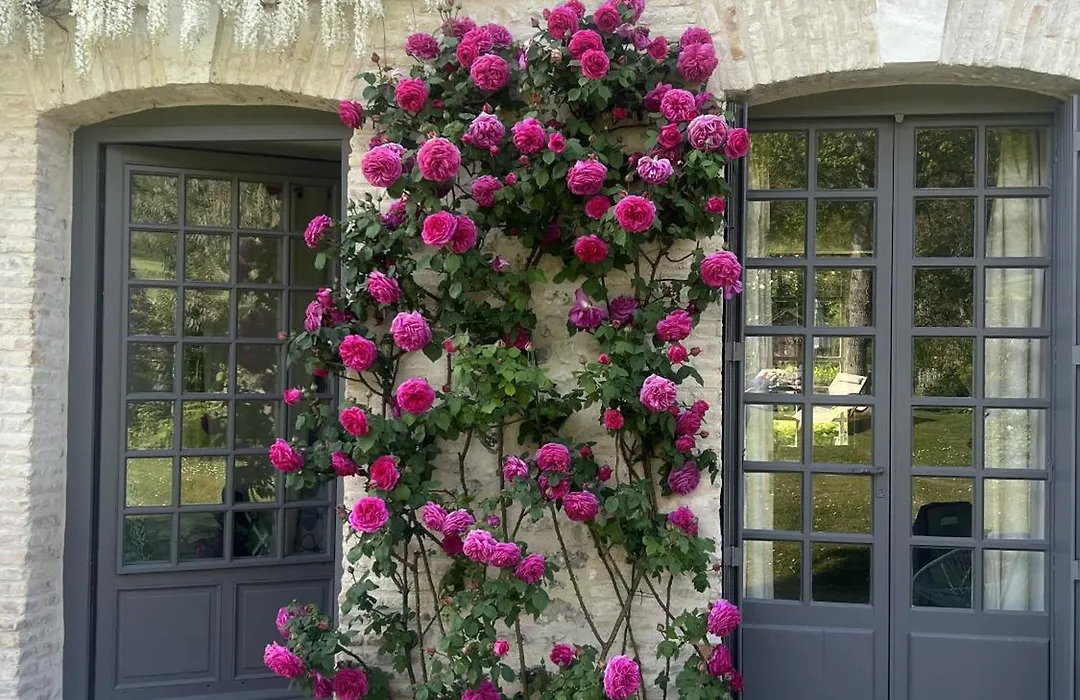 La Maison D'Aline - Honfleur - Maison D'Hote De Charme A La Normande-1