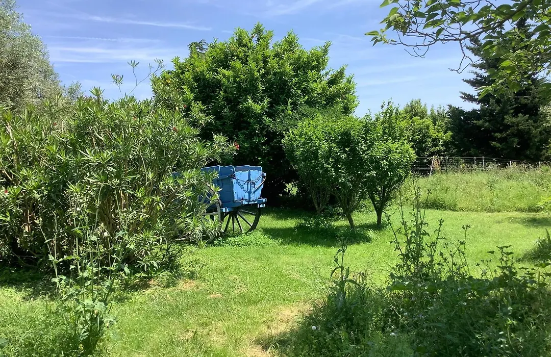 Le Papillon De Soie-1