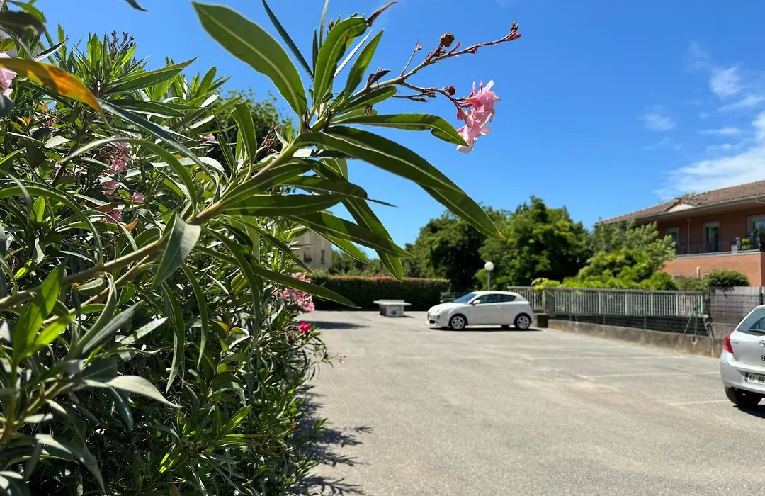 Beach Cannes Bungalows - Holiday Apartments Near Cannes-1