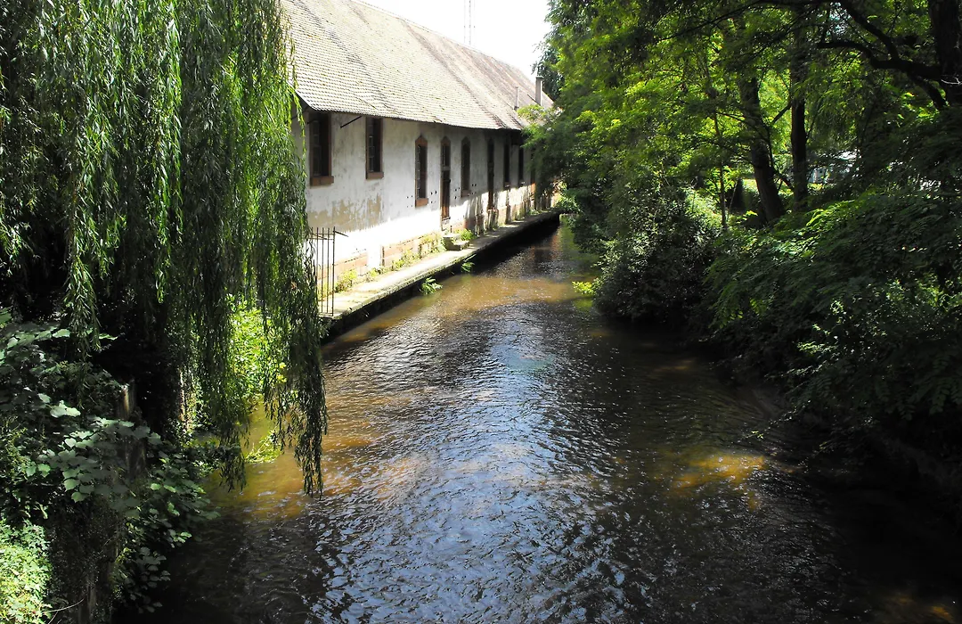 Hotel D'Alsace-1
