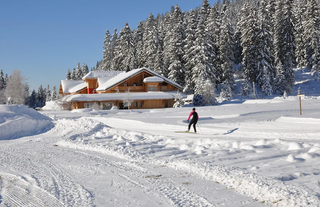 Chalet Hotel Vaccapark-1
