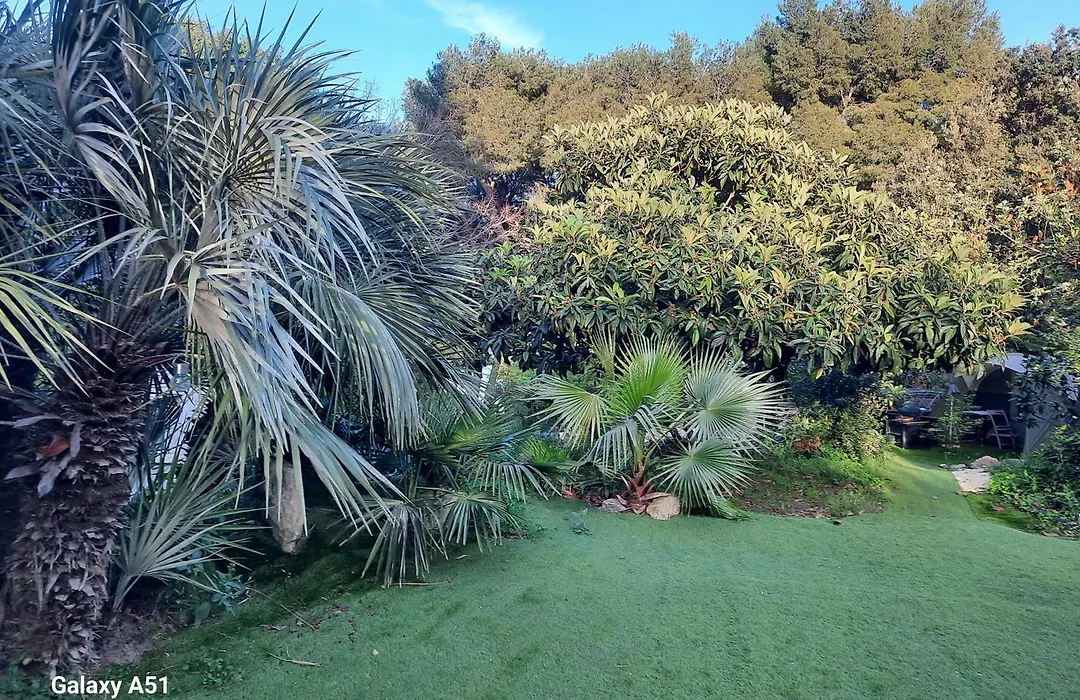 La Palmeraie-1