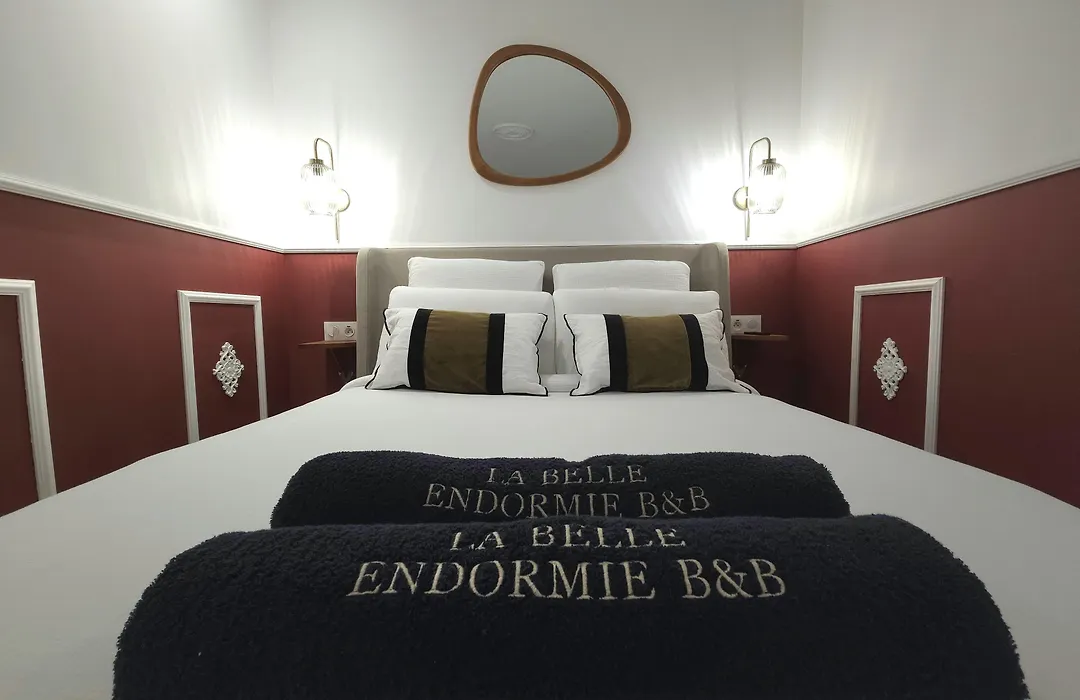 La Belle Endormie B&B French Guest House-1