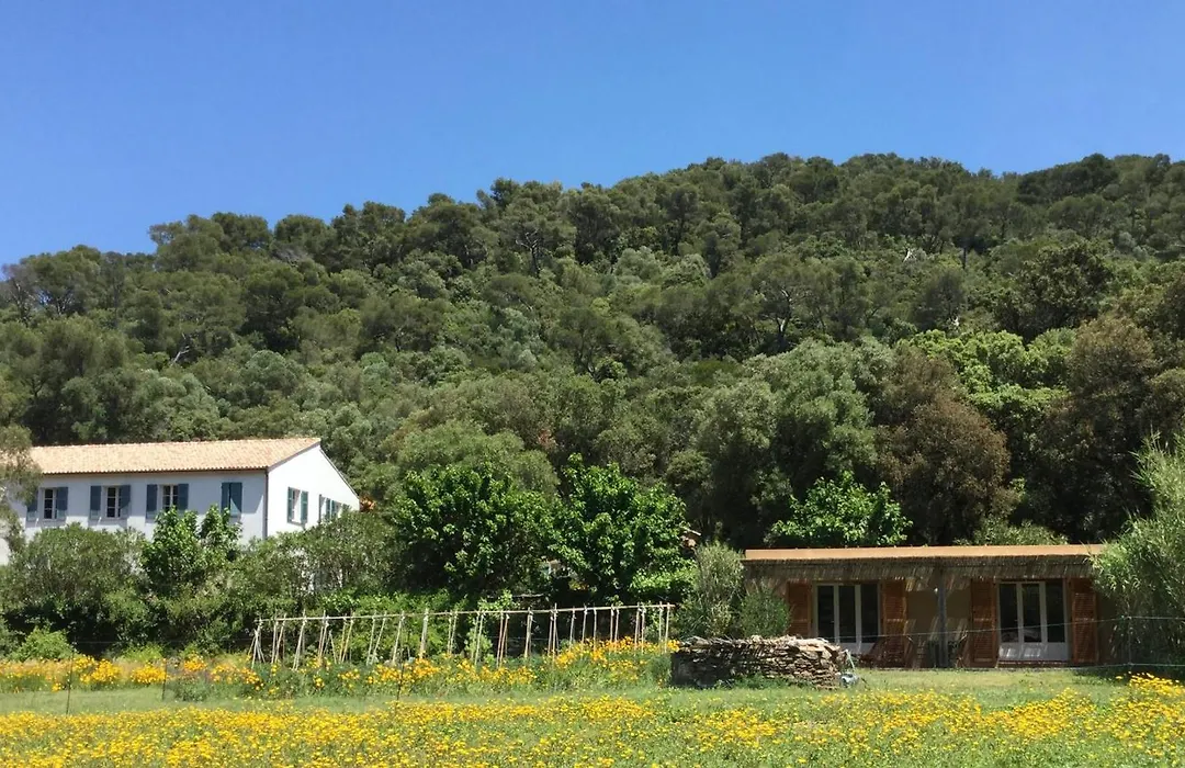 Le Manoir de Port-Cros-1
