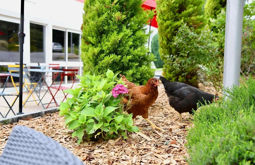 Ibis Quimper-1